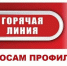 Стартует горячая линия по профилактике клещевых инфекций - Город Оленегорск